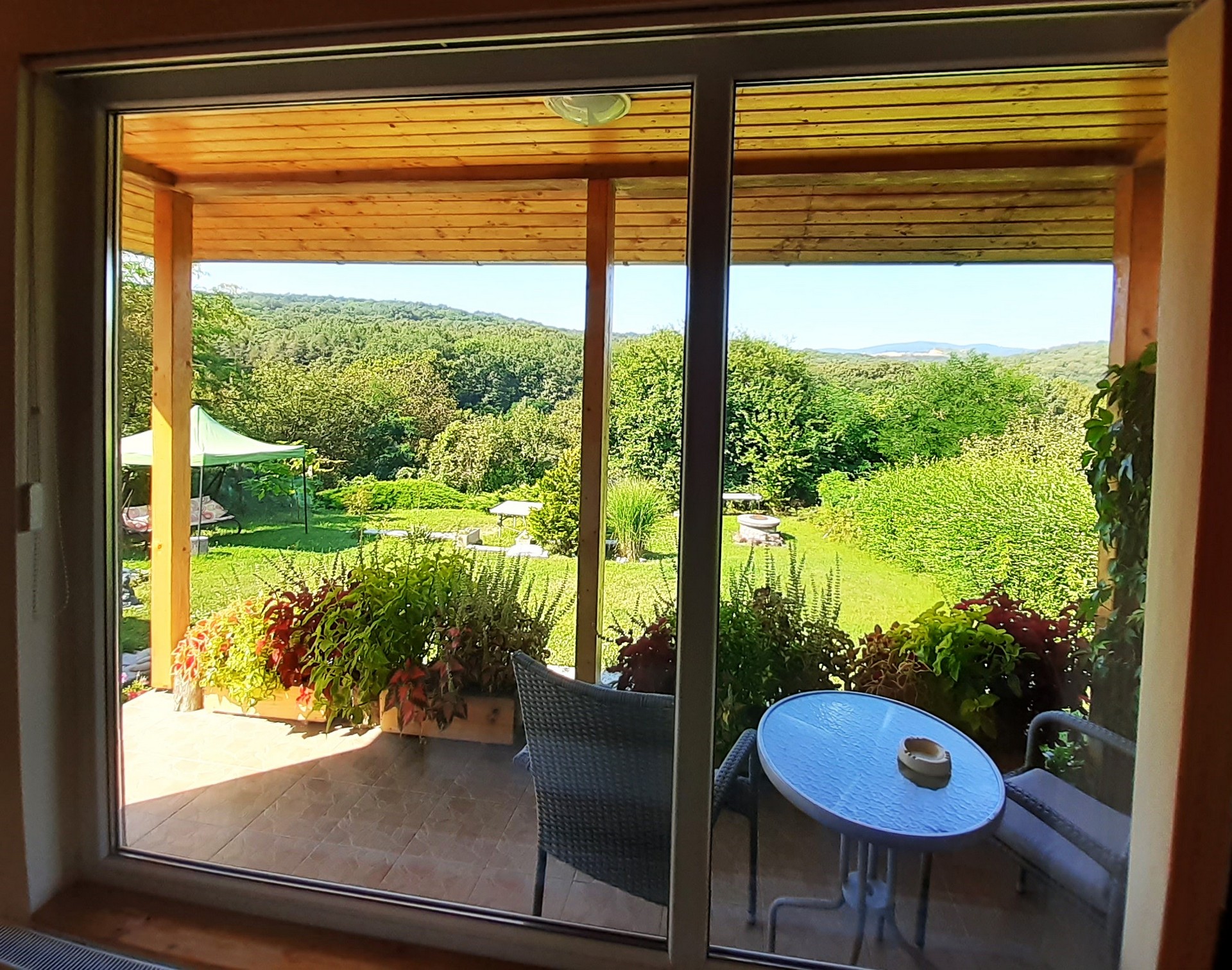 Kilátás az udvarra és az erdőre