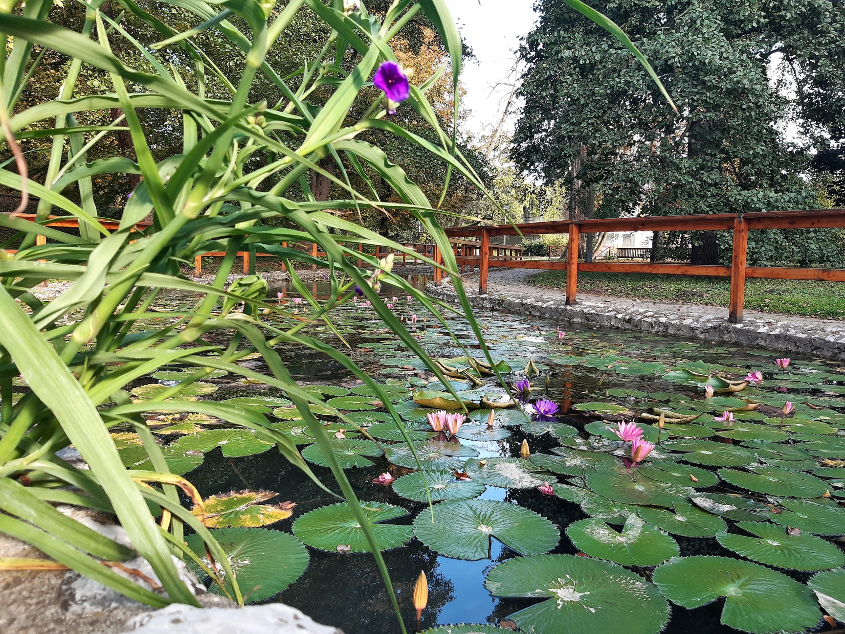 Békás tó Miskolctapolca